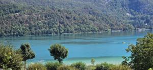 Campings Magnifique Mobil home Lac D'Aiguebelette : photos des chambres