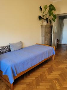 Apartament Salwator Fałata