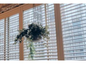 THE BOLY OSAKA - Vacation STAY 52833v