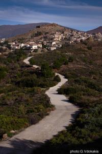 Yasemi of Chios Chios-Island Greece