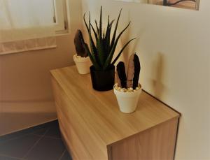 Marco&Chiara Treviso