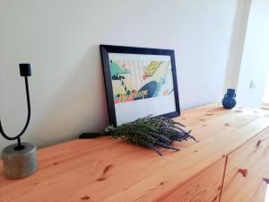 One bedroom by the Park Old Town Belle Vue Timisoara