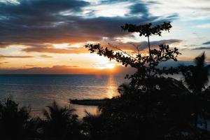 The Verge Cebu Beachfront King Bed Pool Villa - 12 Minutes to Kawasan Falls Canyoneering