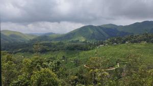 Atithi Homes , Vallakadavu