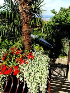 Apartment Sea Garden