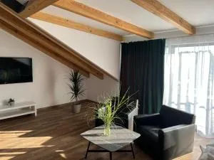 Aquarius 12 Stawy Walczewskiego - 萨泽尼斯