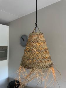 CallantsDuinzicht, Beachappartement 24