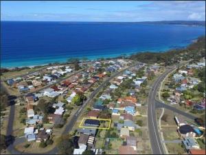 The Great White Vincentia