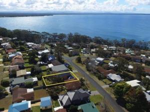 The Great White Vincentia