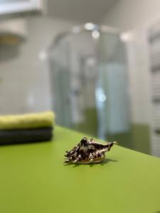 Apartmani Krolo Trogir otok Čiovo