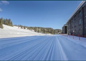 Fin leilighet ca 30 min med bil til Hunderfossen