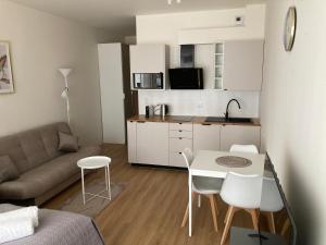 Apartament studio Perła 2