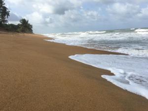 Kamili Beach Resort, Kalutara