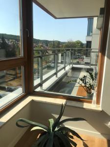 Apartament Gdański Słoneczny Nr 34