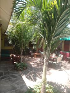 Amarrosi Buffalo-One Bedroom apartment, Mtwapa