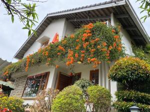 VANDA VIilla Garden trung tâm