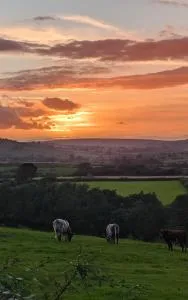 Lilac Terrace Cottage - 丹比