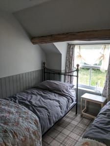 Lilac Terrace Cottage