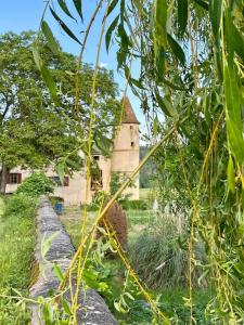 Maisons de vacances Gite du Chateau de Sivignon : photos des chambres