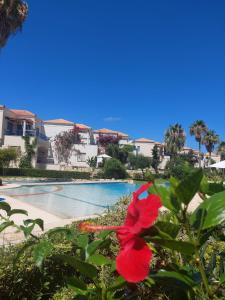 Infinity Night Villa