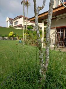3 Bedrooms Villa with Private Pool