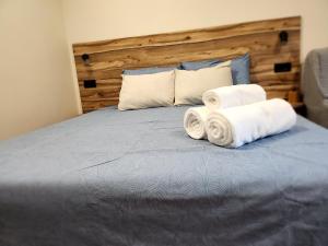 Malavi TN1 top center studio Ruse