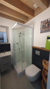 Appartements Le 30 - Duplex en rez-de-jardin proche du centre : photos des chambres