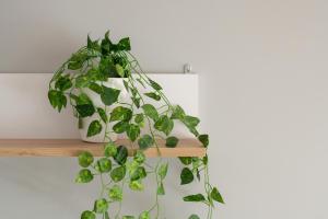 Comfortable Wojskowa Apartment by Noclegi Renters