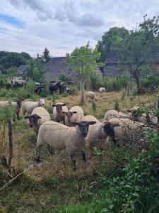 Maisons de vacances L-homme errant : photos des chambres