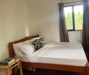 Beach House and Attic