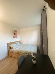 Appartements Magnifique appartement de 4 chambres 8 personnes max a 20 minutes de Paris : photos des chambres