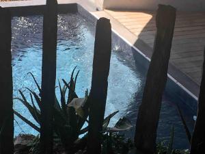 Loft sur le Mont Saint Clair - Sète