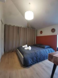 Appartements 4 pieces centre-ville Bourg-en-Bresse : photos des chambres