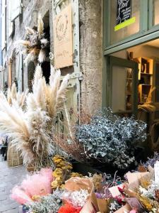 Appartements Appartement 2eme etage plein coeur centre historique de Pezenas : photos des chambres