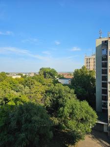 Garsoniera Dary Bloc G2str Mihai Bravu