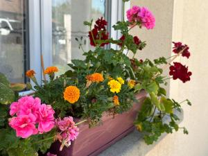 Maisons de vacances So Sweet : Holiday Home with Shower