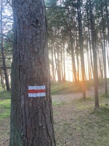 Apartamenty nad morzem Przy klifie Dębina