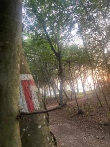 Apartamenty nad morzem Przy klifie Dębina