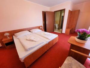 Double Room room in Pensjonat SPA u Tomasza