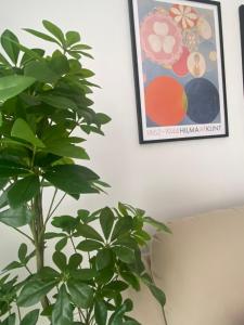 Bonitos atardeceres sobre Los Cristianos