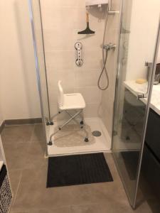 Appartements L' Hippocampe du bassin - 3 etoiles : photos des chambres