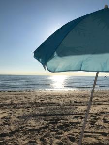 In de Zeeuwse Schuur