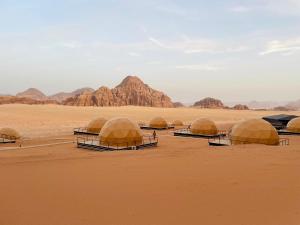 Wadi Rum Bubble Camp