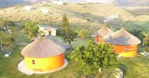 Sheep and Stars - Zithulele