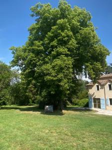 Villas Maison de campagne : photos des chambres