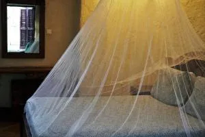 Tryst Boutique Hotel - Addis Ababa