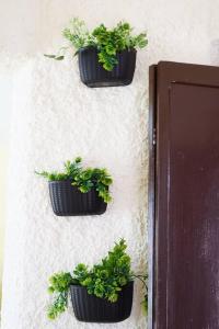 Casa Avocado, en García Gineres