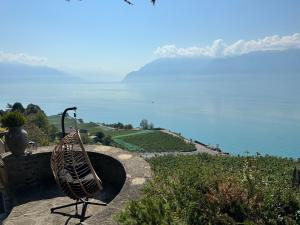 Panoramic Room in the vineyard,stunning views of lake and Alps