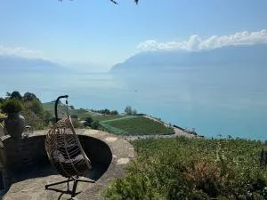 Panoramic Room in the vineyard,stunning views of lake and Alps - Cully