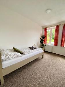 Apartmán pod vlekem